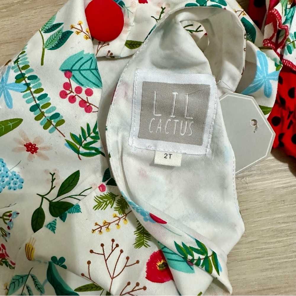 Lil Cactus Ladybug 2 piece bloomer outfit - Picture 6 of 6